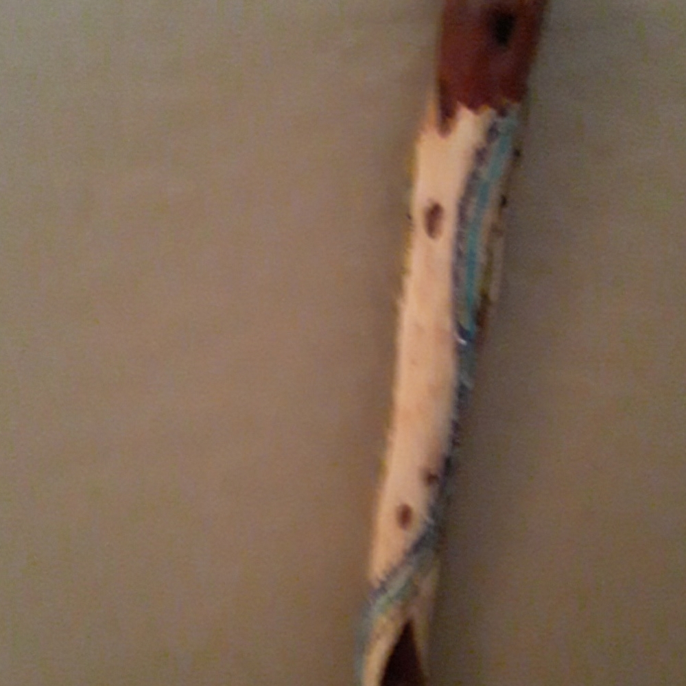 Walking stick